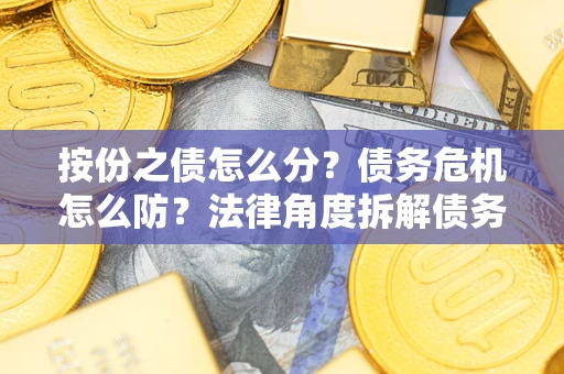 武汉按份之债怎么分？债务危机怎么防？法律角度拆解债务分配与风险自保指南