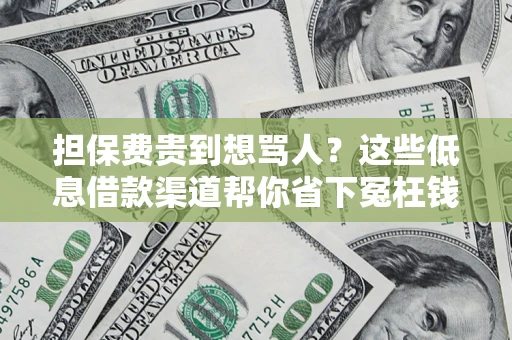 武汉担保费贵到想骂人？这些低息借款渠道帮你省下冤枉钱
