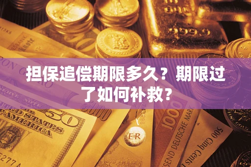 武汉担保追偿期限多久？期限过了如何补救？