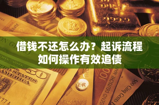 武汉借钱不还怎么办？起诉流程如何操作有效追债