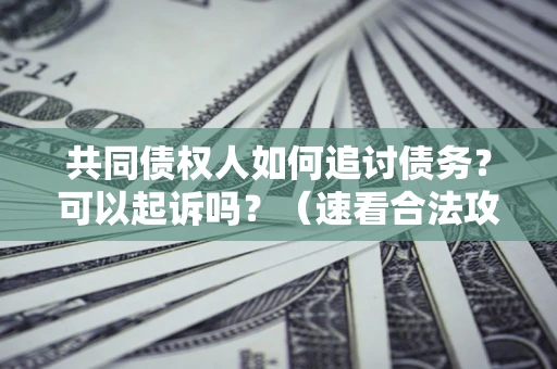 武汉共同债权人如何追讨债务？可以起诉吗？（速看合法攻略）