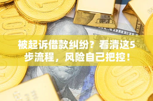 武汉被起诉借款纠纷？看清这5步流程，风险自己把控！