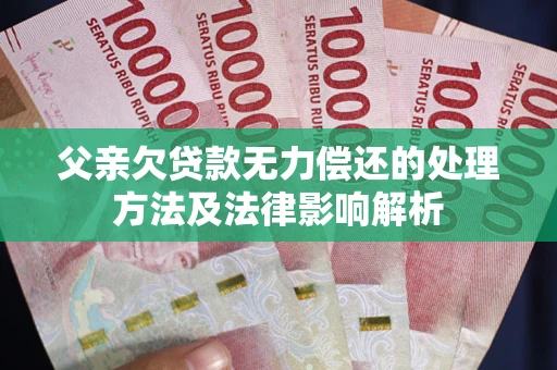 武汉父亲欠贷款无力偿还的处理方法及法律影响解析