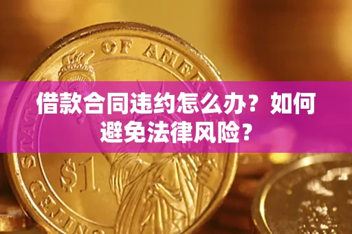武汉借款合同违约怎么办？如何避免法律风险？