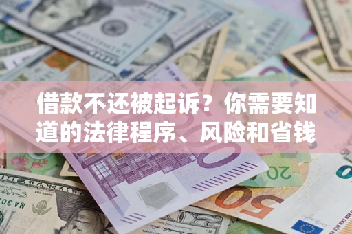武汉借款不还被起诉？你需要知道的法律程序、风险和省钱技巧
