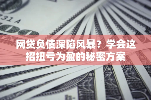 武汉网贷负债深陷风暴？学会这招扭亏为盈的秘密方案