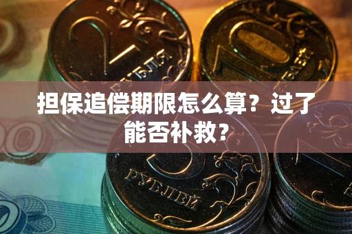 武汉担保追偿期限怎么算？过了能否补救？